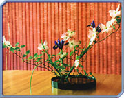 'Ikebana' - Japanese flower arranging